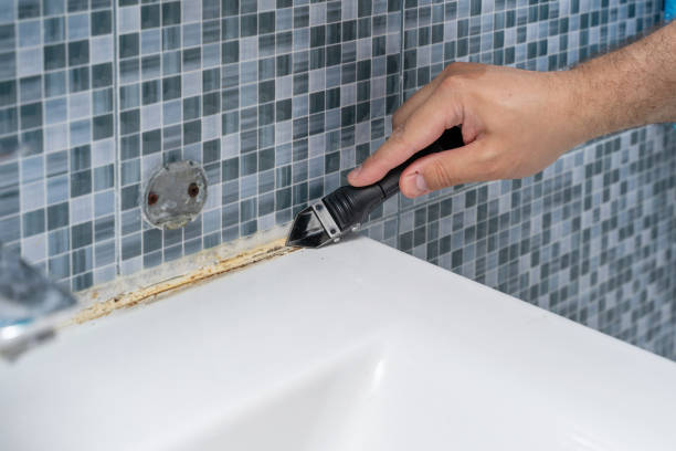Best Mold Testing  in Chittenango, NY