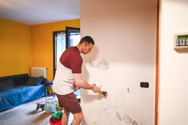 Best Office Mold Removal Services  in Chittenango, NY